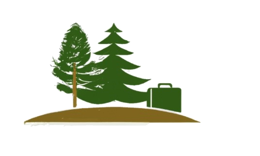 Pine Needle